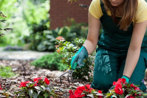 Worker wearing PPE while operating a powered hedge trimmer