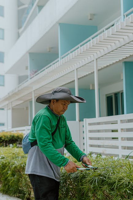 A man wearing a wide-brimmed hat and a green long-sleeved shirt is trimming a neatly maintained hedge with small garden shears. The hedge is composed of dense, green foliage with fine, slender leaves.