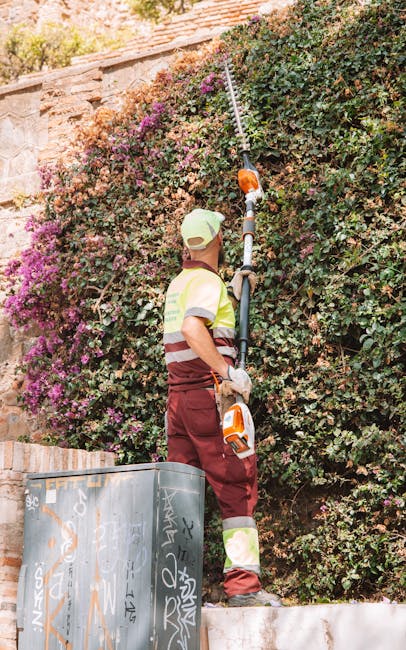A man wearing a wide-brimmed hat and a green long-sleeved shirt is trimming a neatly maintained hedge with small garden shears. The hedge is composed of dense, green foliage with fine, slender leaves.