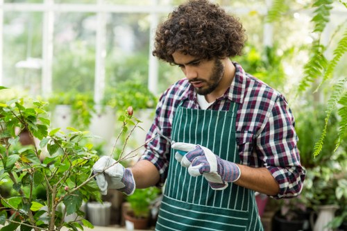 Choosing the right hedge trimming service in Brompton