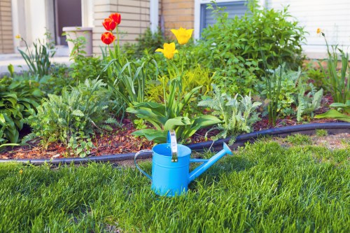 A well-maintained front garden featuring a lush, dense lawn with evenly mowed, vibrant green grass in the foreground. Behind the lawn, there is a flower bed bordered by a low, dark edging material, containing a variety of flowering plants, including bright yellow tulips and red tulips, alongside other green foliage plants with textured leaves. The garden is situated in front of a brick house with light-colored paneling and large windows, and the scene suggests a calm, sunny day with natural lighting highlighting the garden's fresh appearance. The lawn and flower bed are part of a landscaped outdoor space that reflects professional gardening care, possibly provided by Hedge Trimming Brompton, aiming to enhance curb appeal and outdoor aesthetics in Brompton. The garden shows evidence of regular maintenance, with healthy plants and tidy edges, creating a visually appealing and inviting outdoor environment suitable for outdoor family activities.